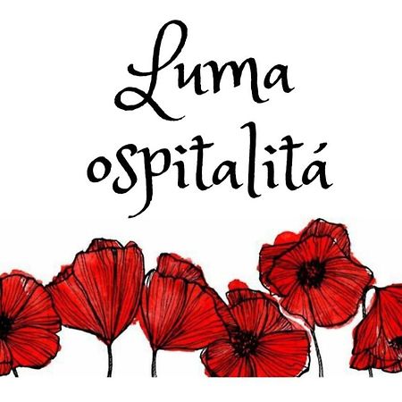 Apartament Luma Ospitalita Molfetta Zewnętrze zdjęcie